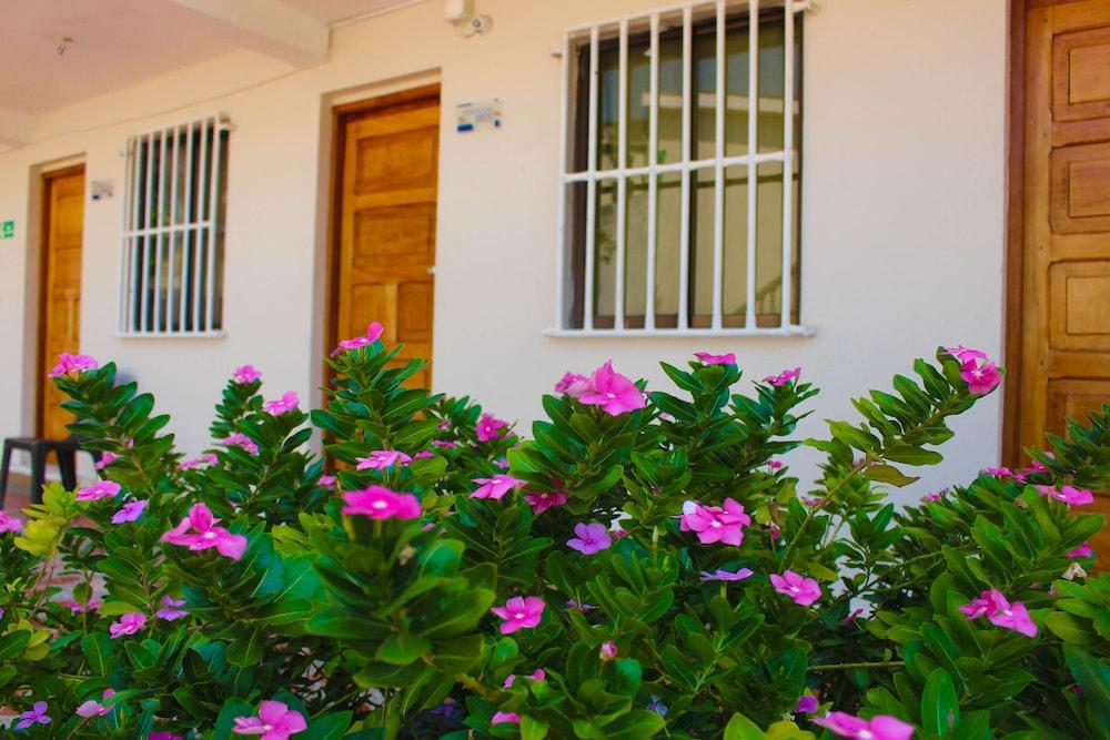 Hotel Dorado Plaza Punta Arena Playa de Punta Arena 外观 照片
